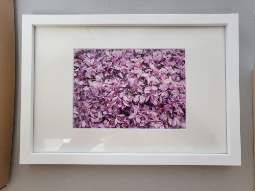 Le marché des fleurs de Torbat-e Heydarieh, 2018, digitalisierte Silberfotografie, Iran, 15 x 22 cm, Edition 30