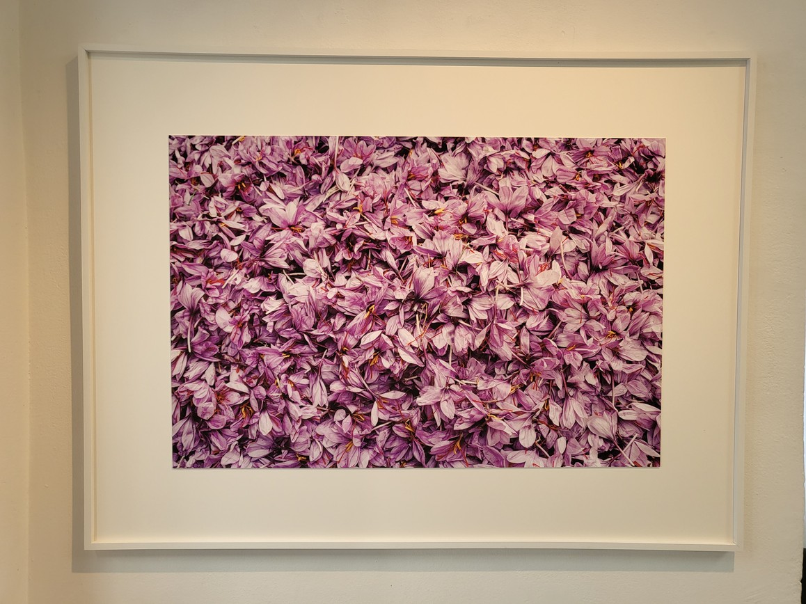 Le marché des fleurs de Torbat-e Heydarieh, 2018, digitalisierte Silberfotografie, Iran, 60 x 90 cm, Edition 2/5