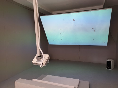 Le sanctuaire des papillons Monarque, 2023, Video 1920x1080i, 10:15, Edition 4