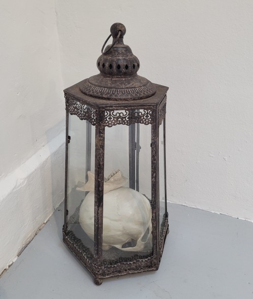 Reliquar, Glasvitrine, bemalter Schädel, 2024