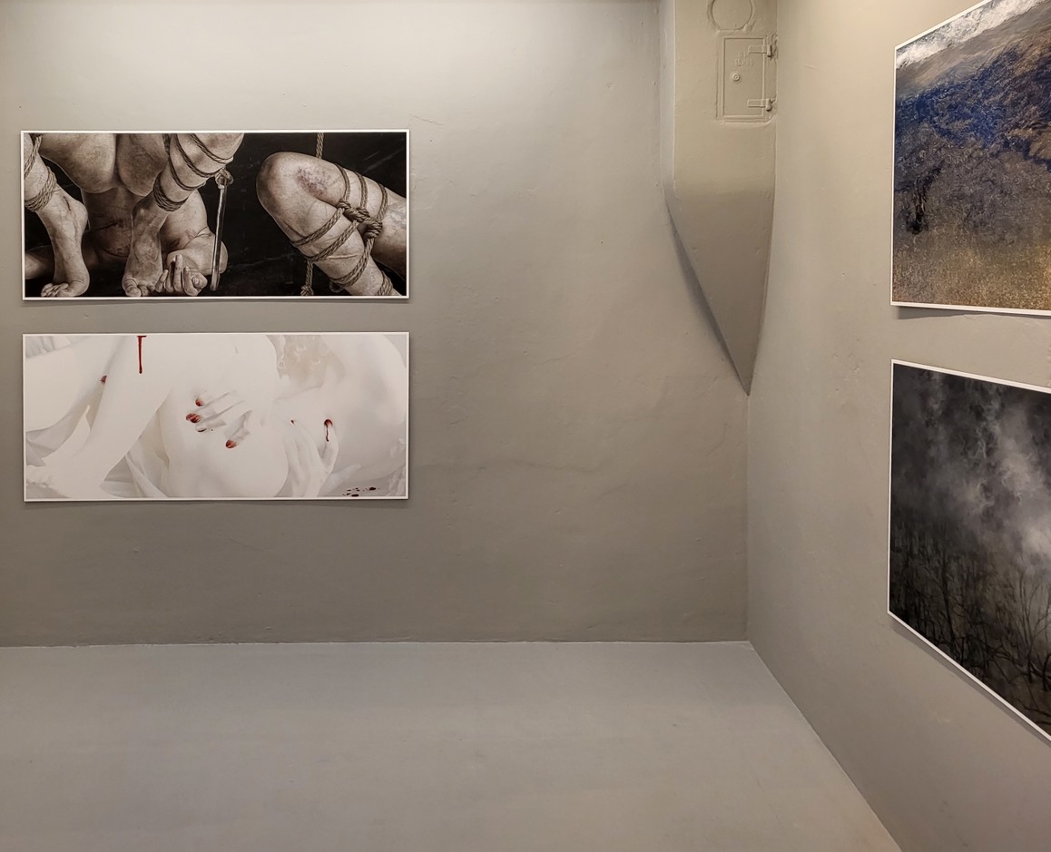 Ausstellungsansicht