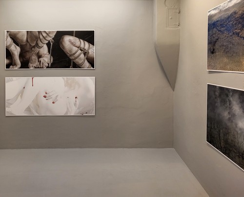 Ausstellungsansicht