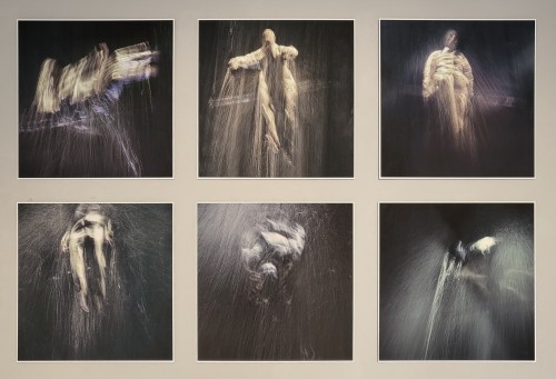 Foreign body [Fremdkörper] | Fineartprint Hahnemühle Photo Rag, Aludibond, Ed. 6) | 6­tlg, je 70 × 70 cm