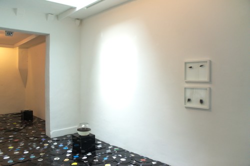 Ausstellungsansicht