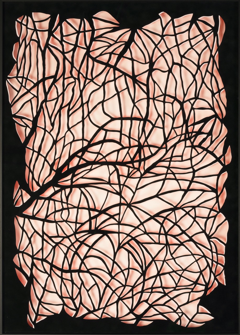 Flora (Serie Transluzenz), 2018