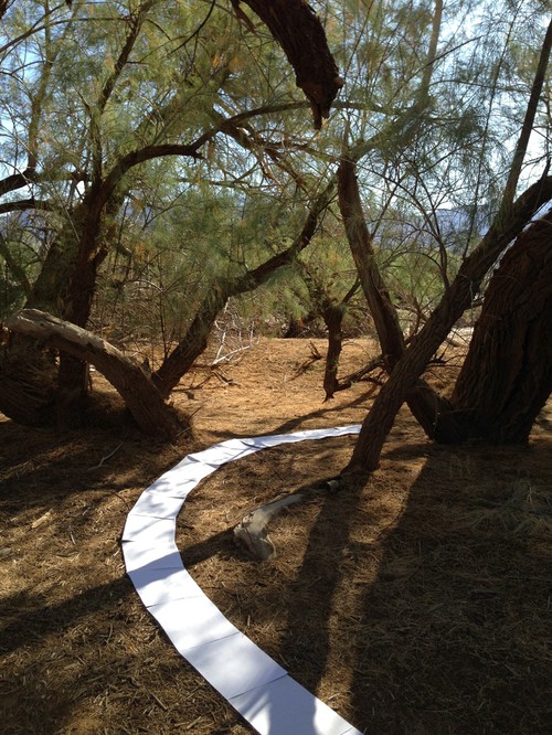 On old path, 2014